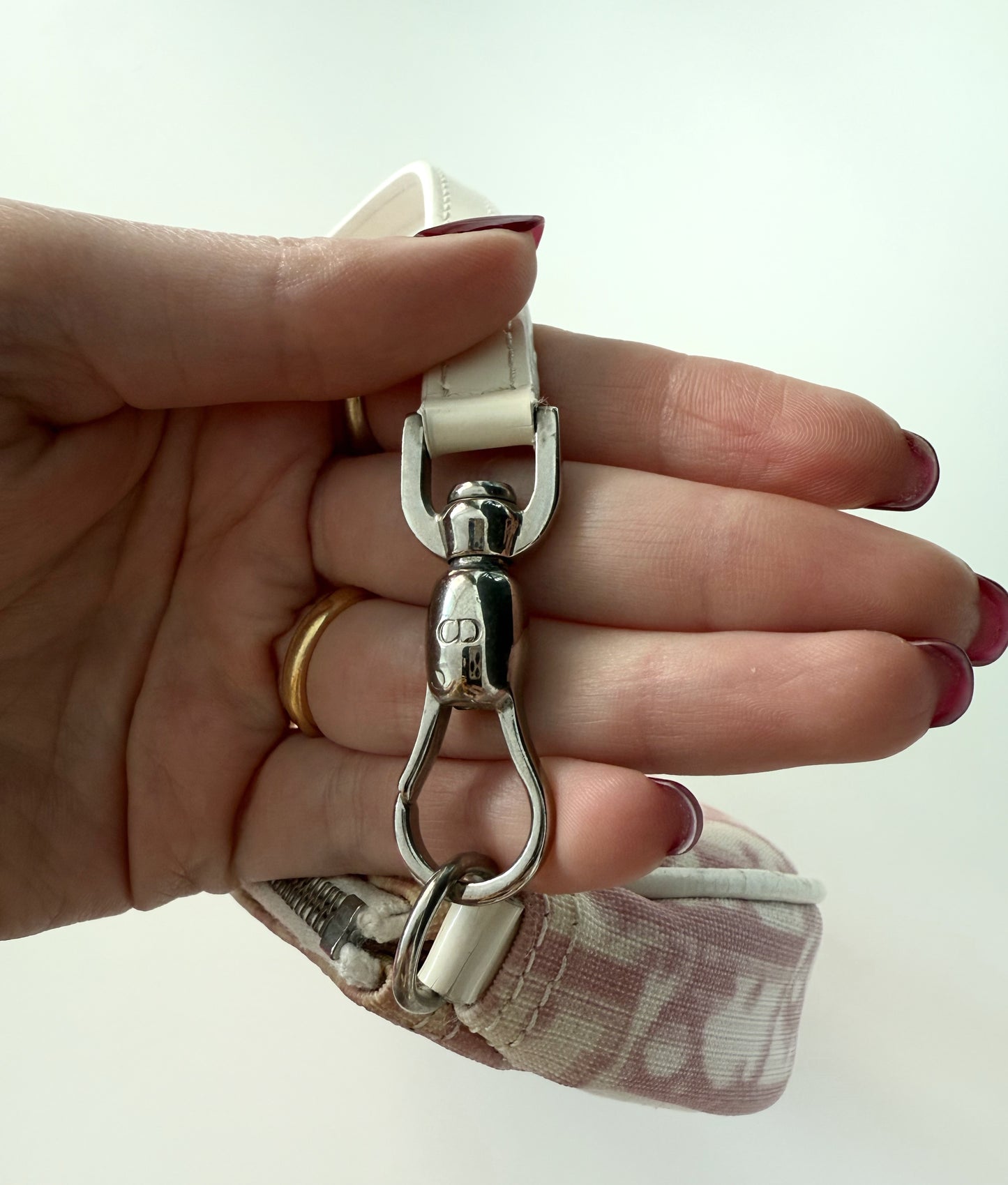 Small Dior Saddle Bag