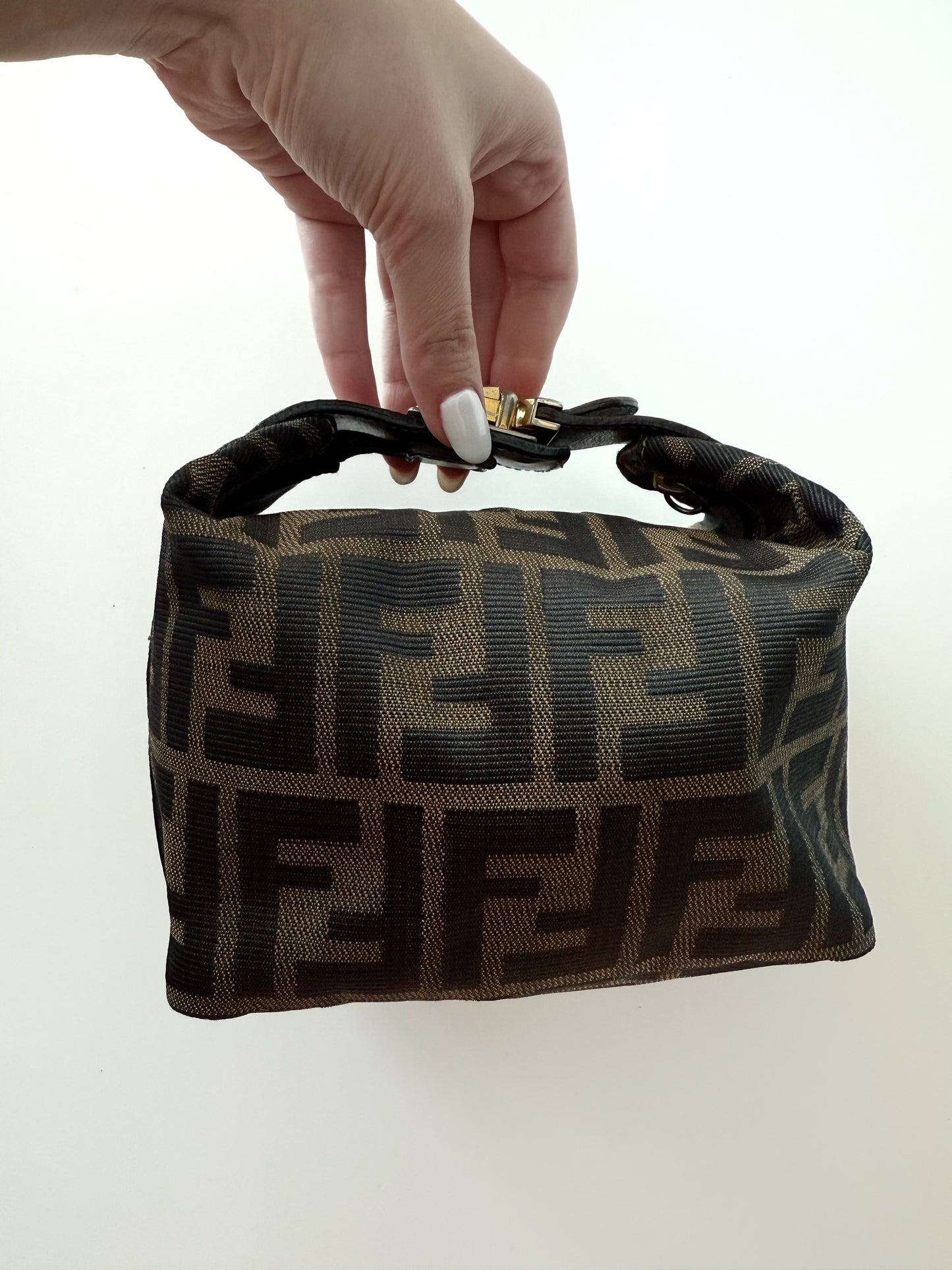 Small Fendi Vanity Bag