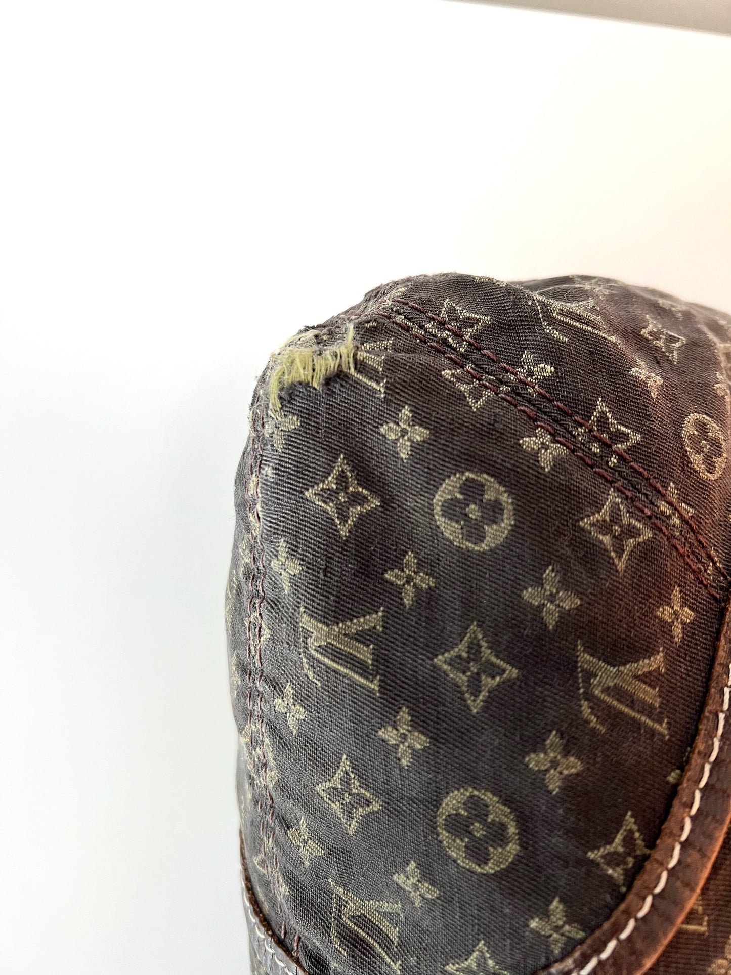 Louis Vuitton Hobo Bag