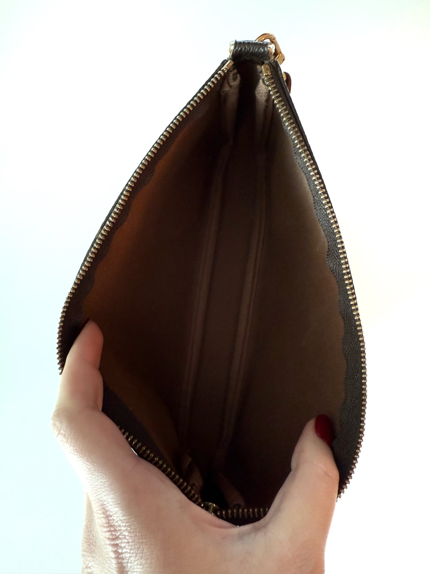 Louis Vuitton Monogram Pochette