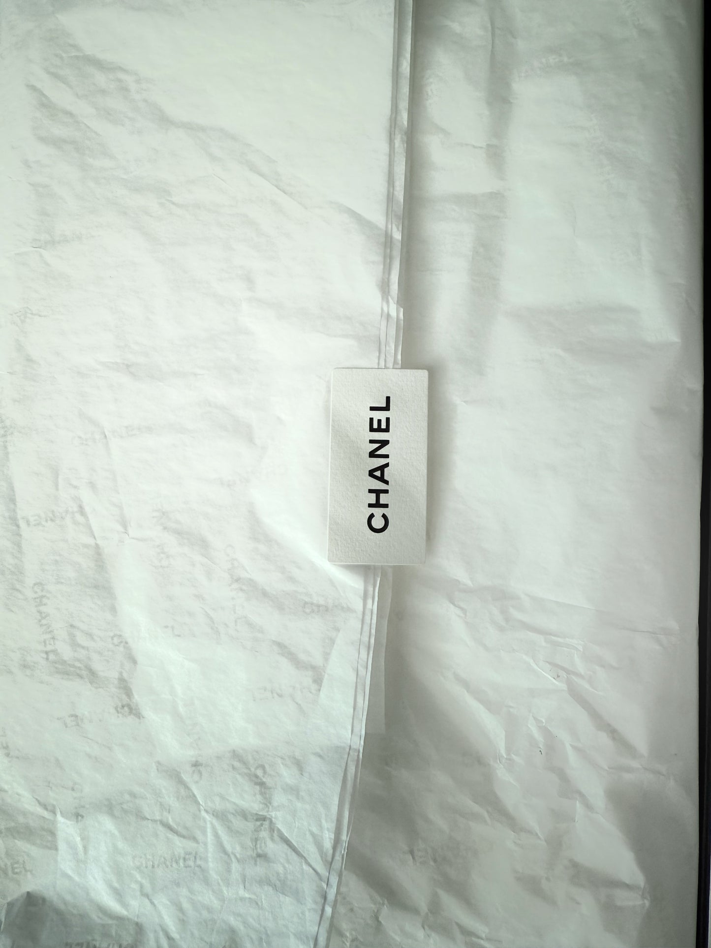Runway Edition Chanel Bag