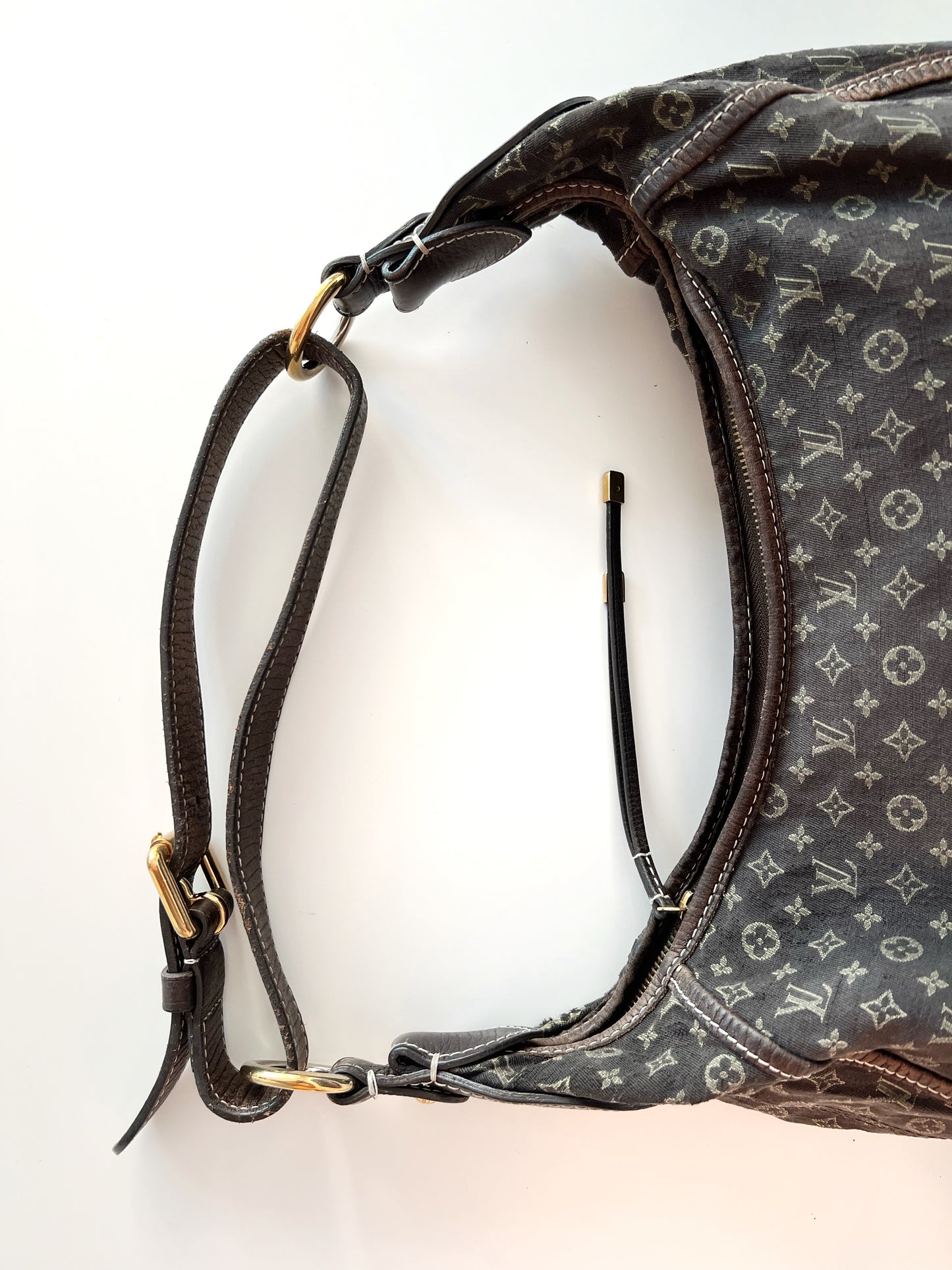 Louis Vuitton Hobo Bag