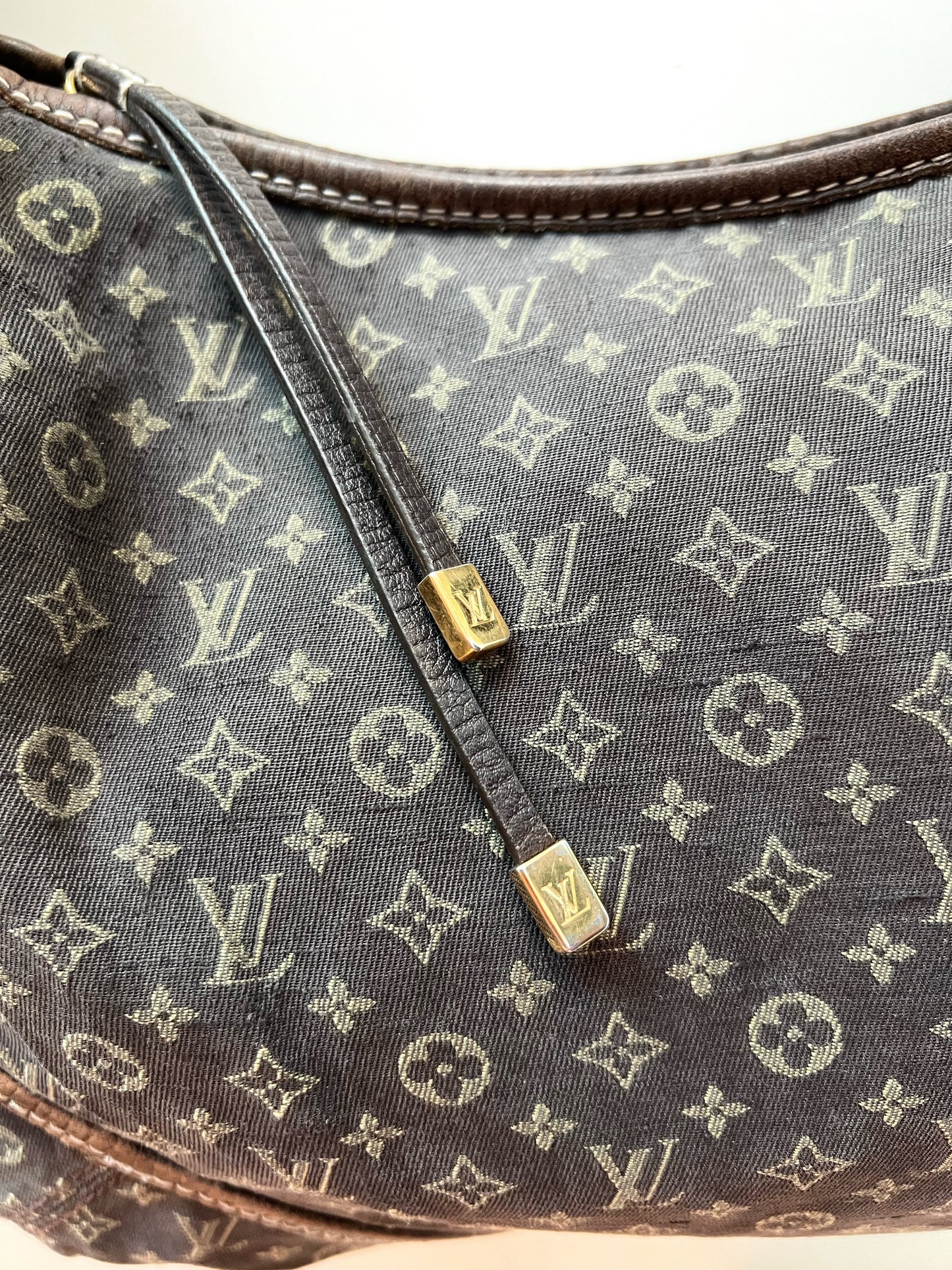 Louis Vuitton Hobo Bag