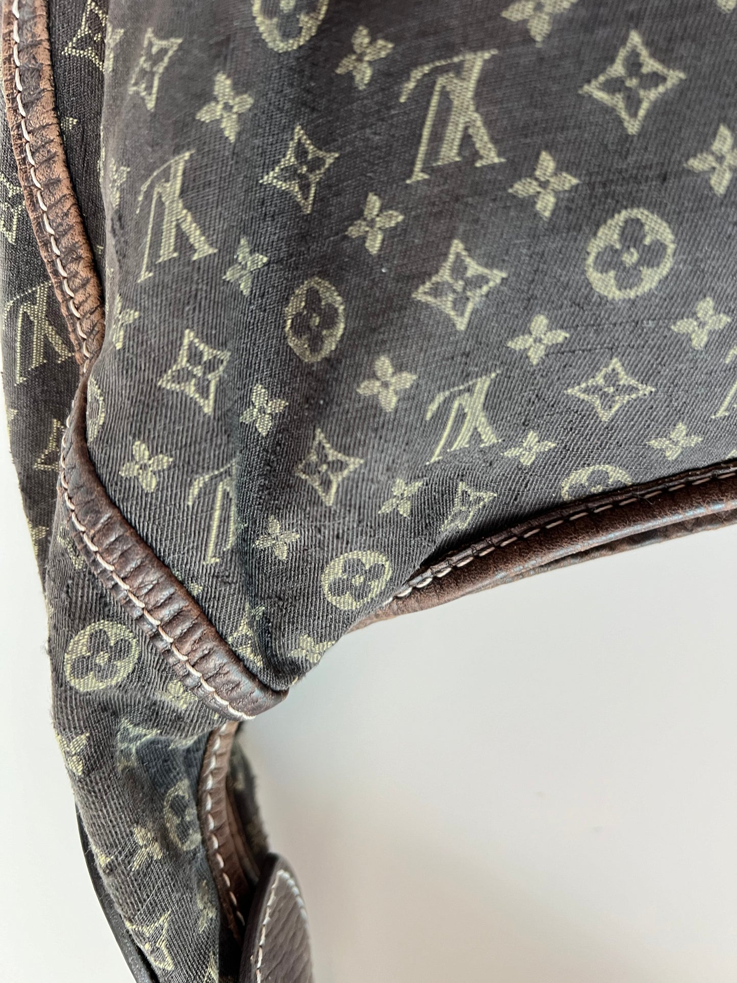 Louis Vuitton Hobo Bag