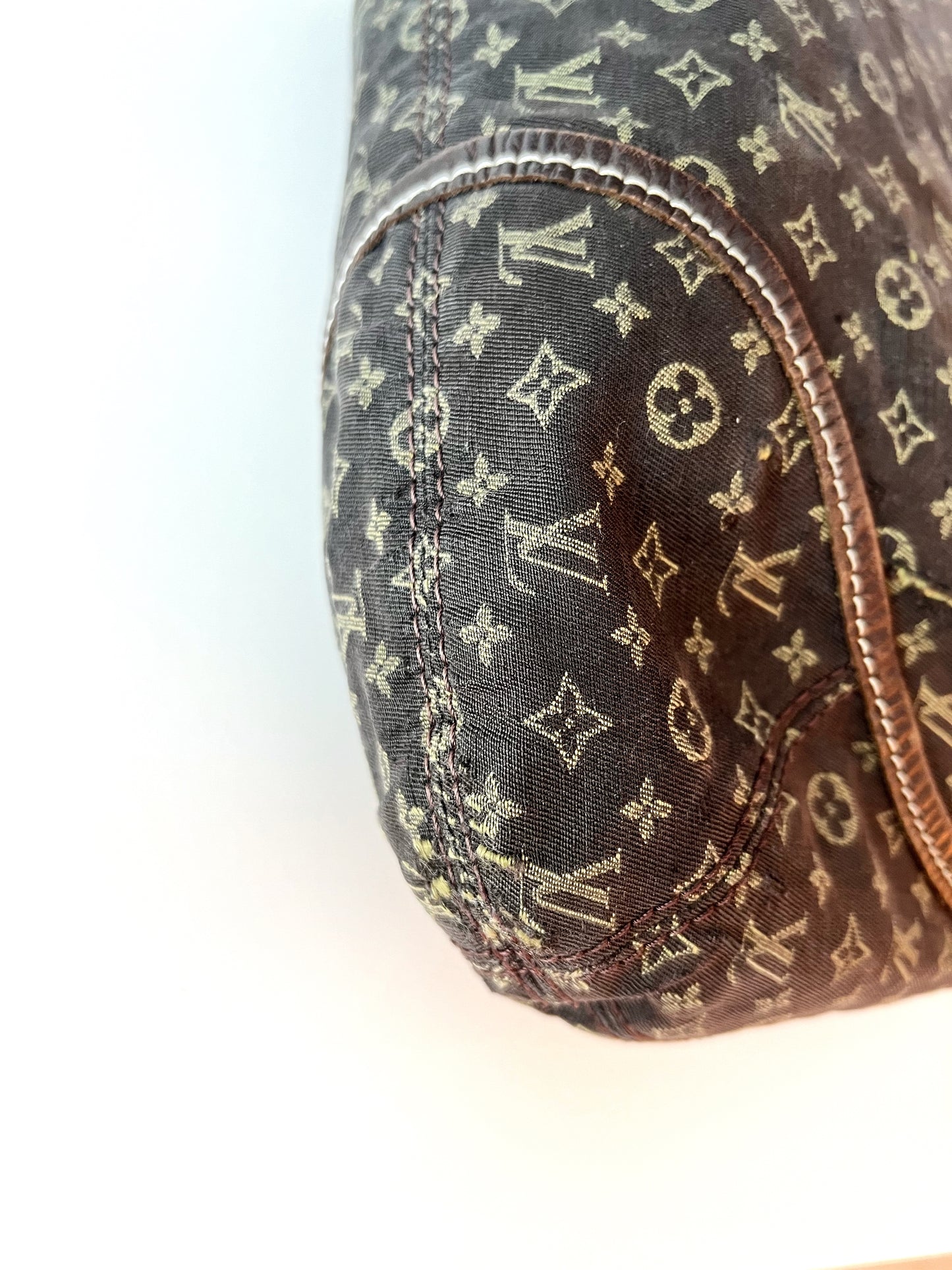 Louis Vuitton Hobo Bag